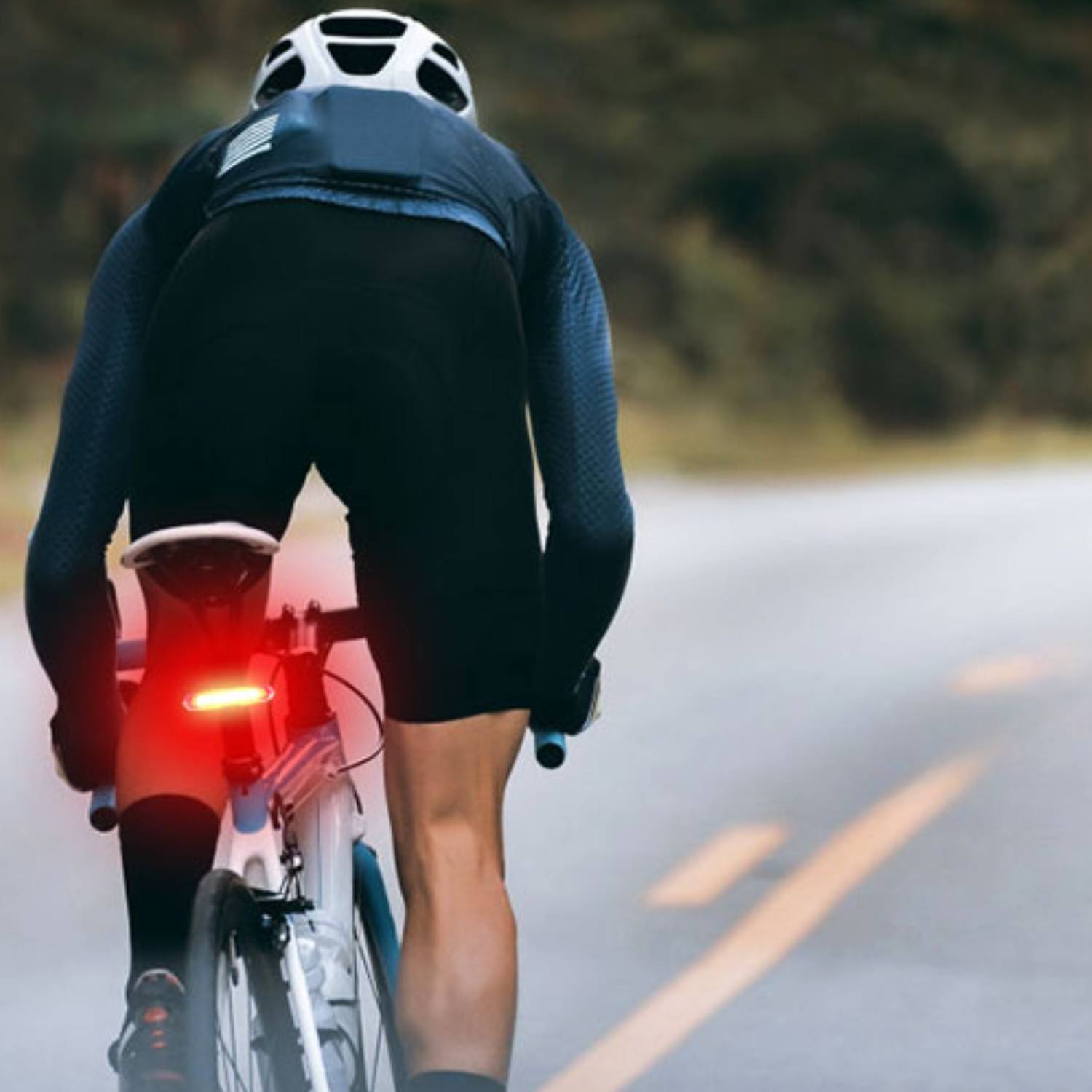 LED Rear Bike Light